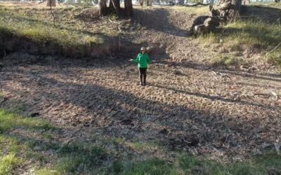 Salinity Monitoring Update