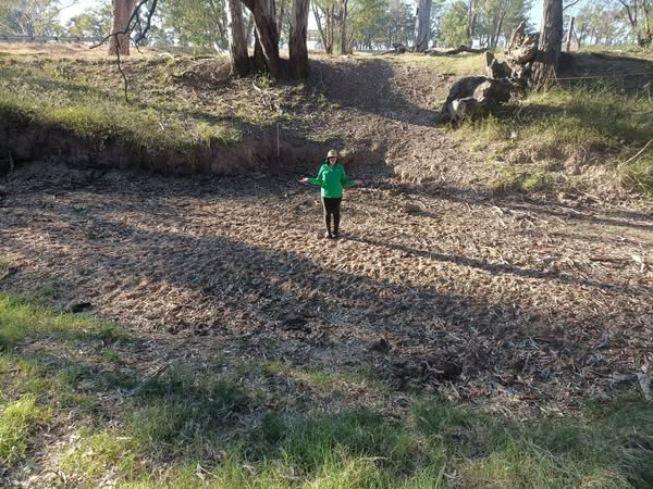 Salinity Monitoring Update