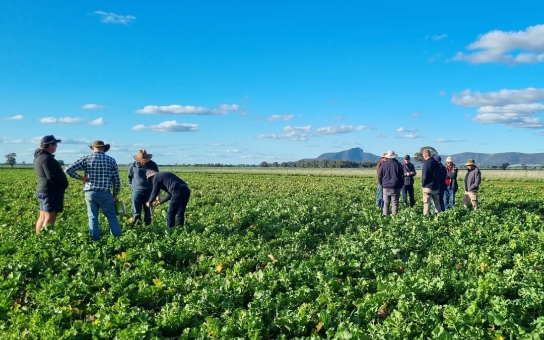 Talking Dirty Soil Health Workshop