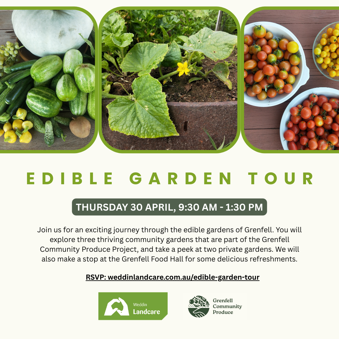 Edible Garden Tour FB