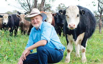 Low Stress Stockhandling School