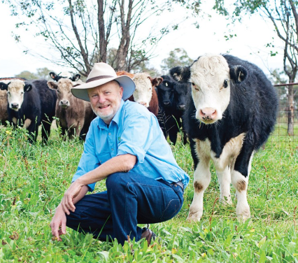 Low Stress Stockhandling School