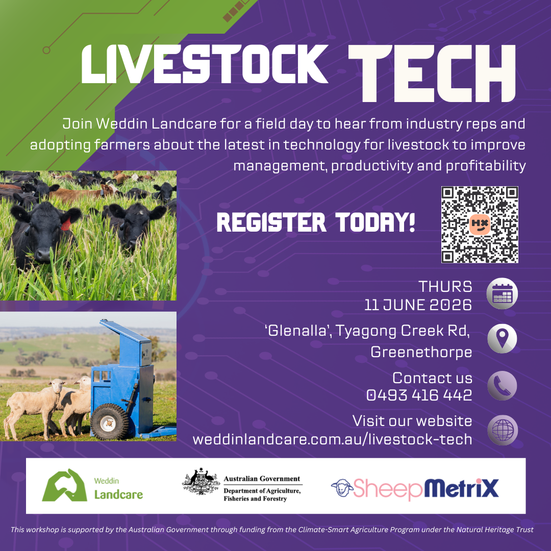 Livestock Tech_Social Tile