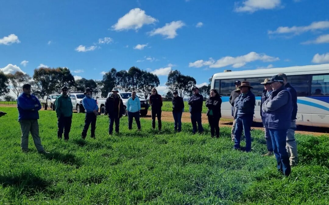 Central West Grazing and Cropping Bus Trip