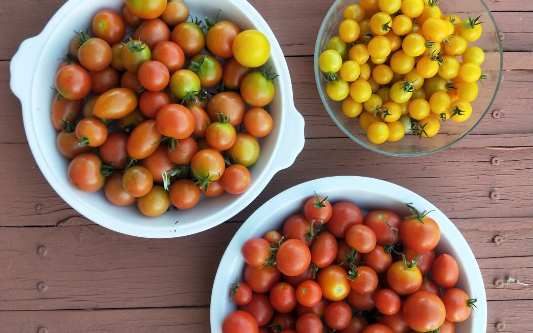 Crop Swap