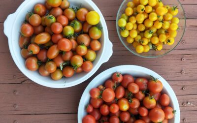 Crop Swap