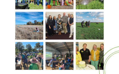 Annual Report 2025-2026